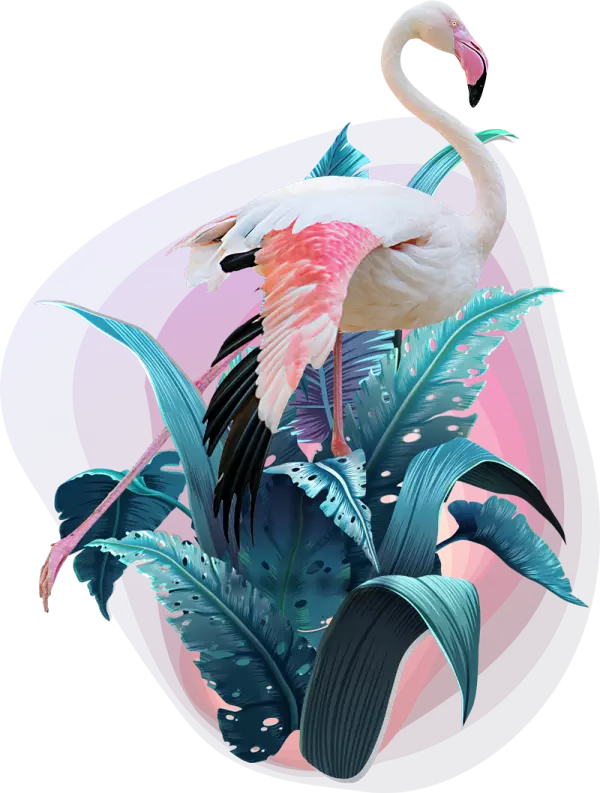 flamingo.png