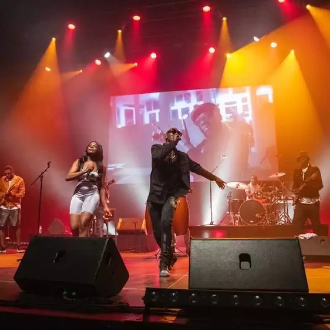 Enigmatik music family